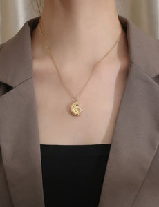 Collar C24